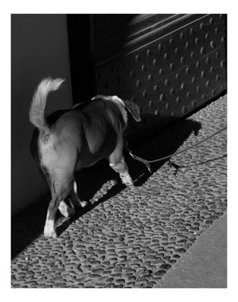Reportage_11