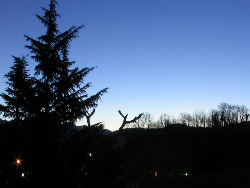 alba 2