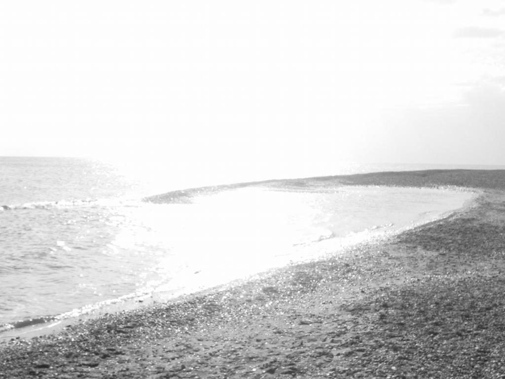 spiaggi di policoro B&W