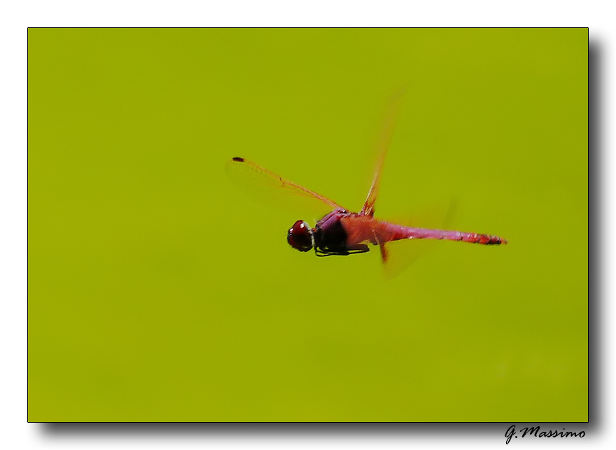 ancora in volo