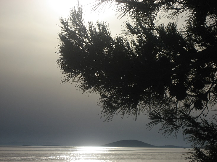 Isola di Murter