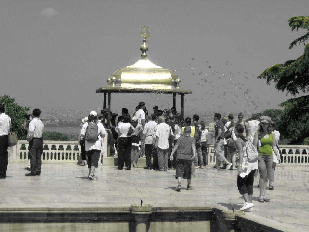 Panoramica