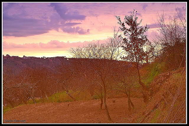 Winter in country.