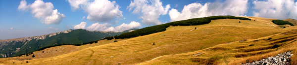 panorama