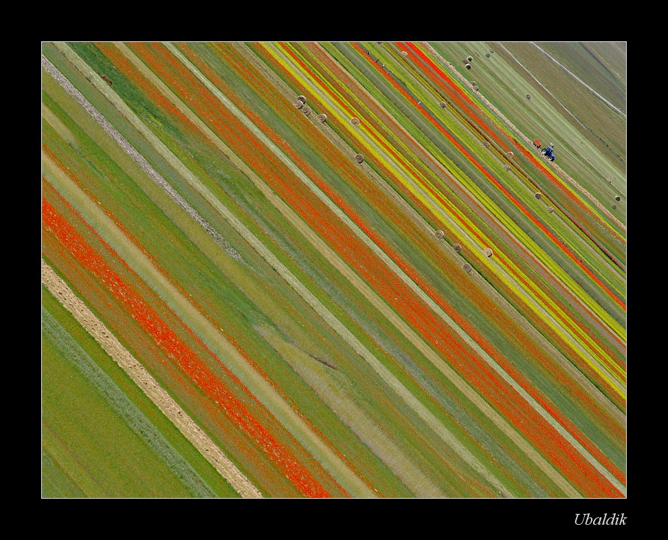 Castelluccio Missoniano (di Ubaldo)