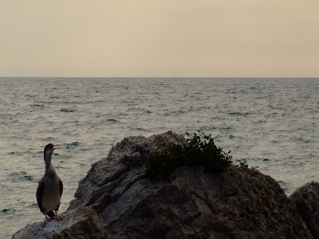 miramare3