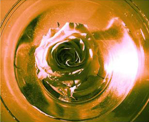 I colori, la Rosa, le Luci...