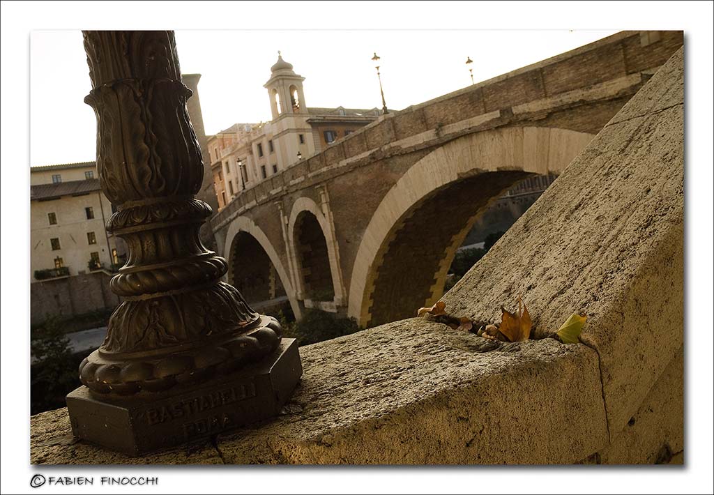 Tiber