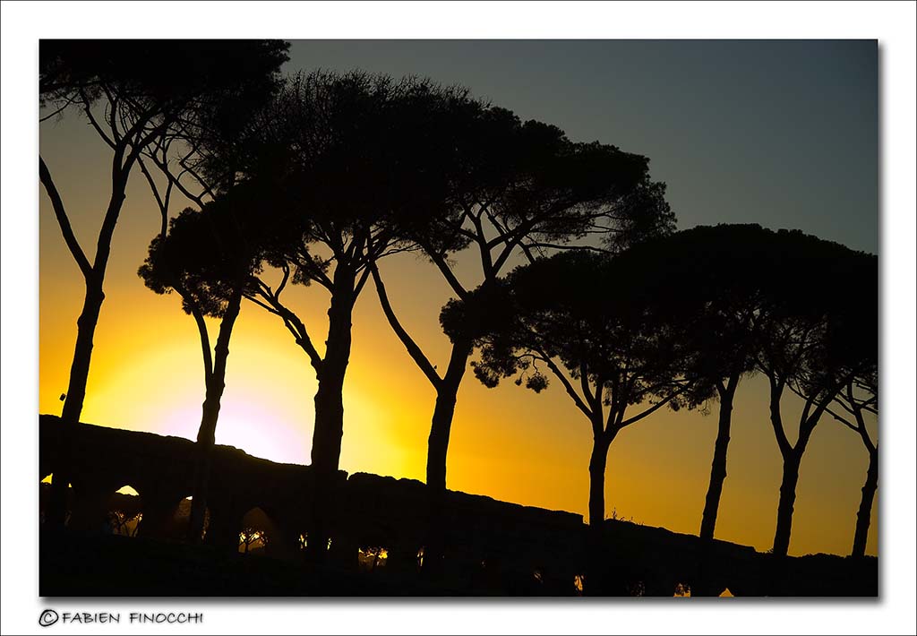 Sunset 2