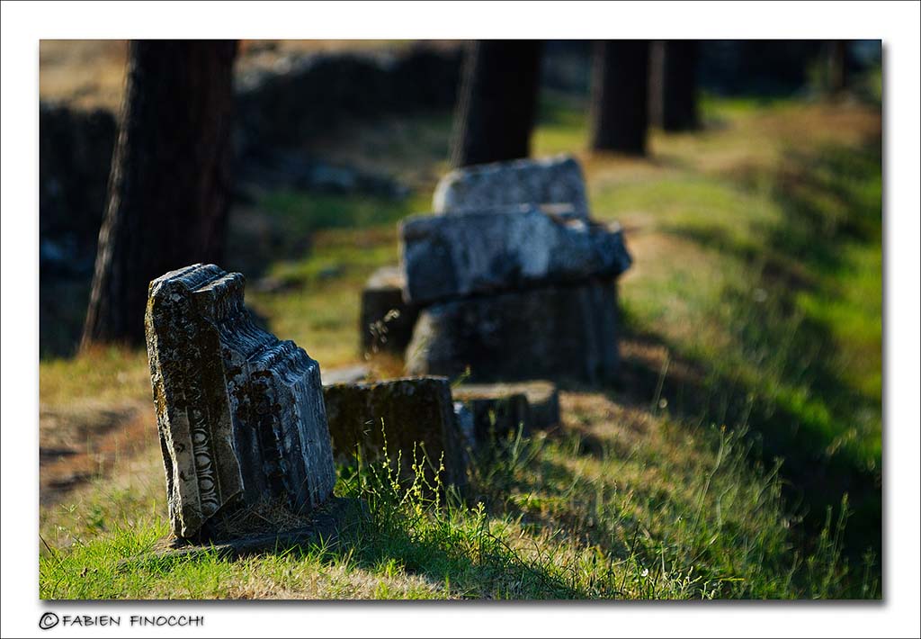 Appia antica 3