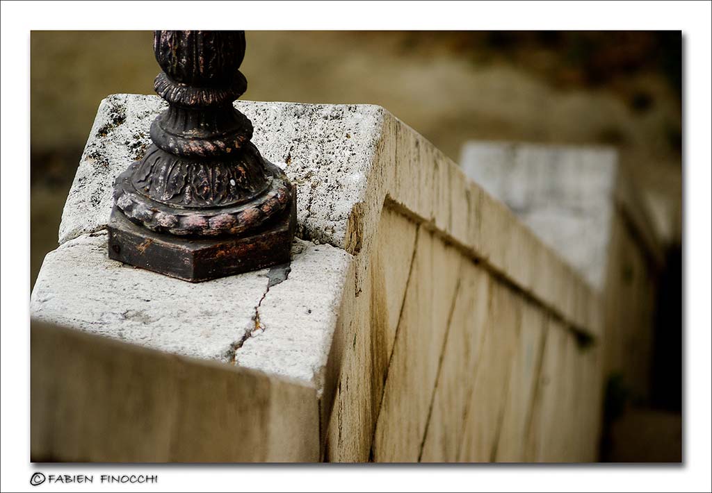 Rome 7