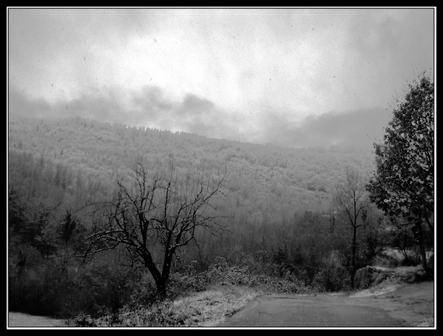 Neve...