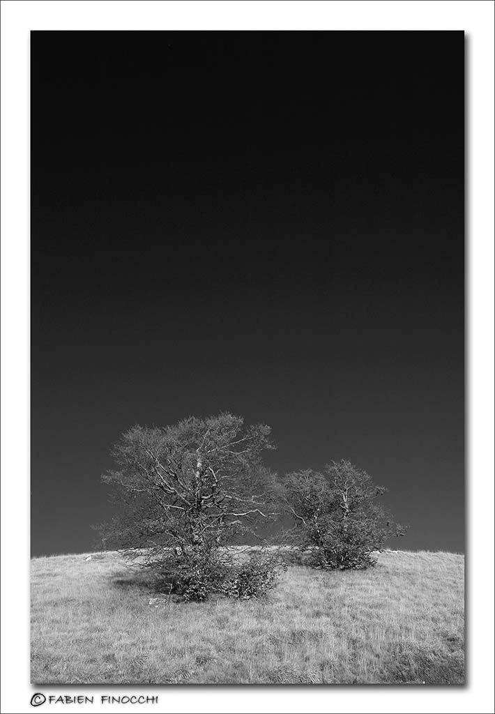 Terminillo 2
