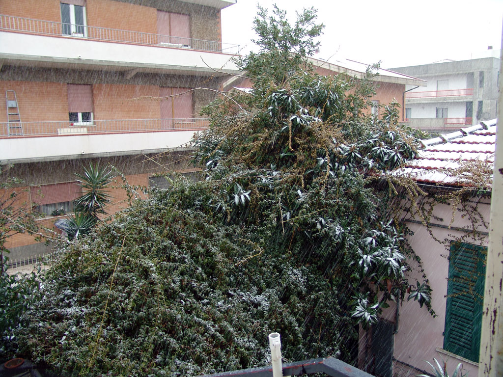 Inizia a nevicare!!!