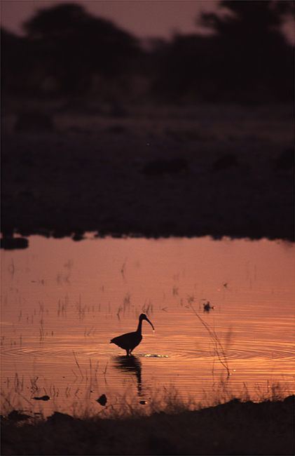 tramonto 1