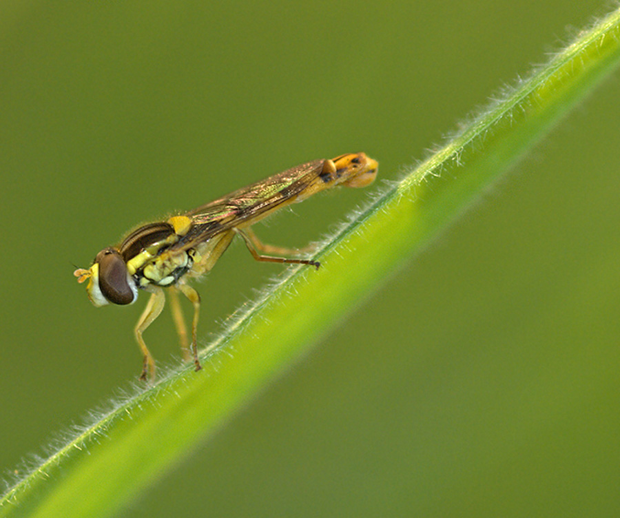 in discesa