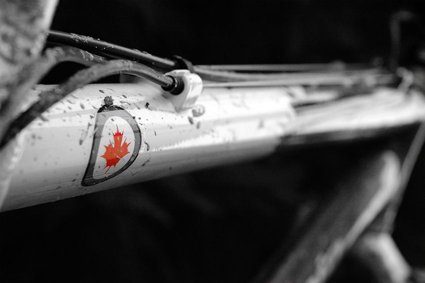 my bike