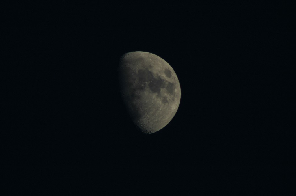 Moonlight