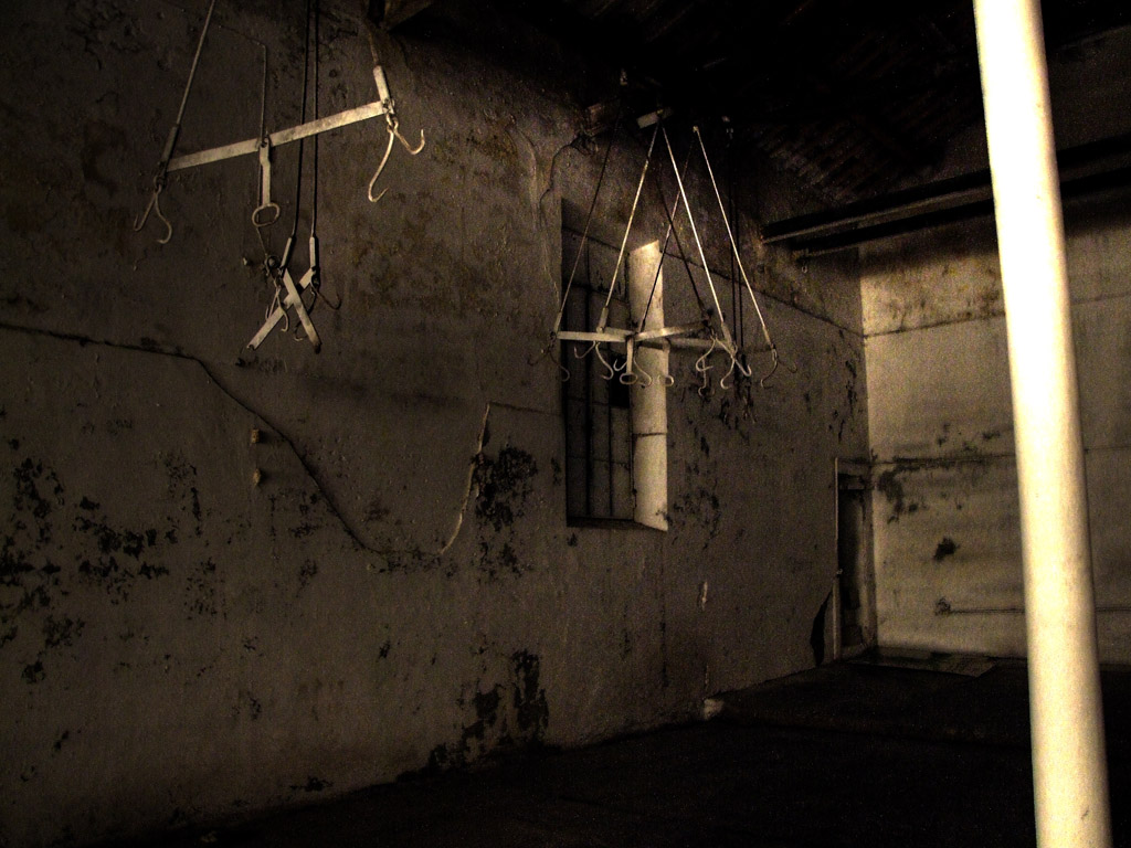 Slaughterhouse N5