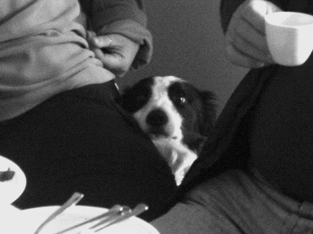 Luna che guarda