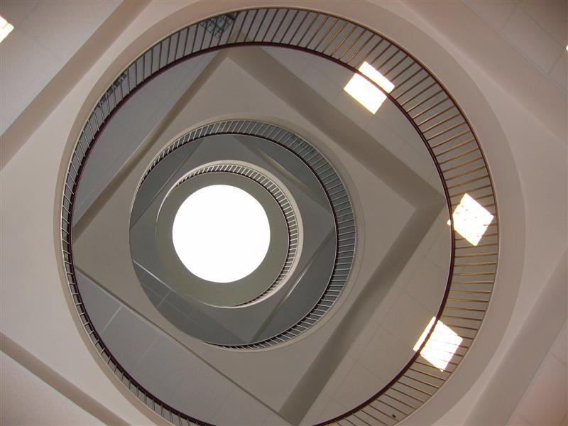 Androna vertigine
