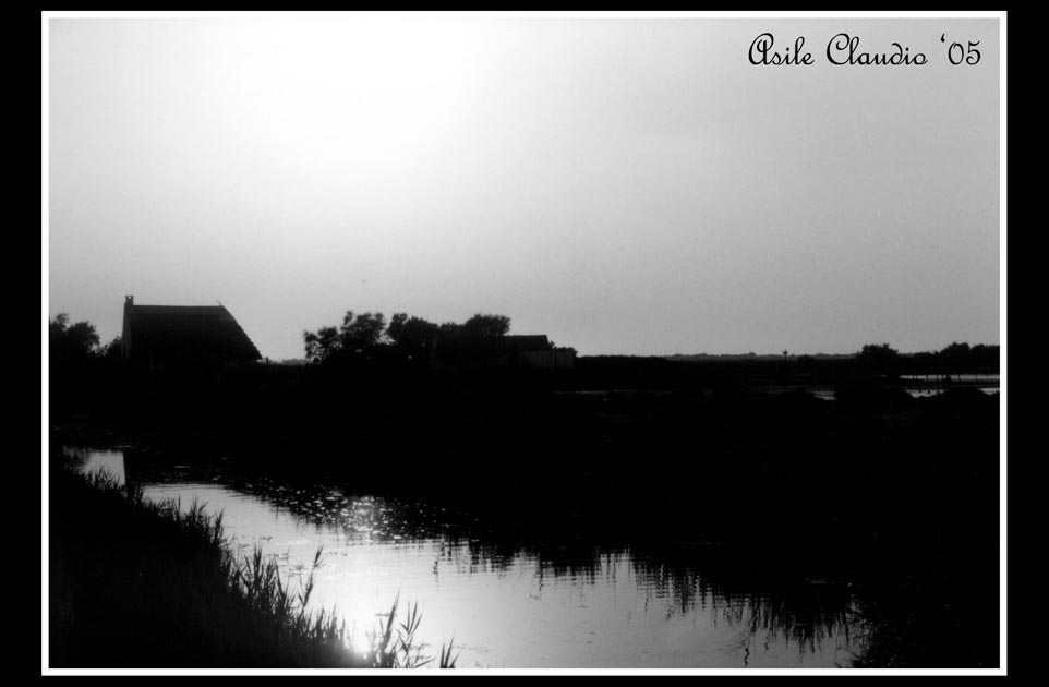 Camargue