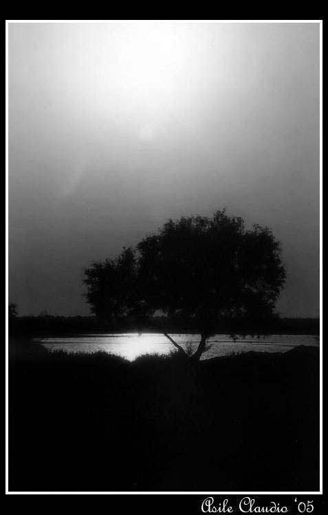 Camargue pt 2