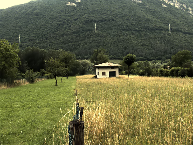 Campo e colori