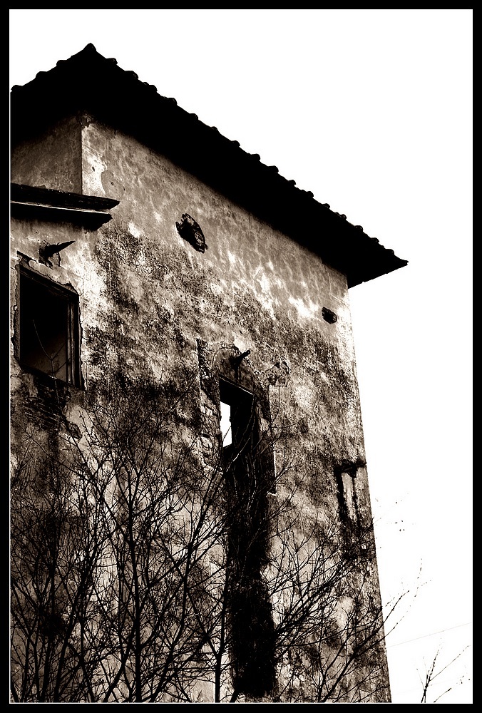 stagno2