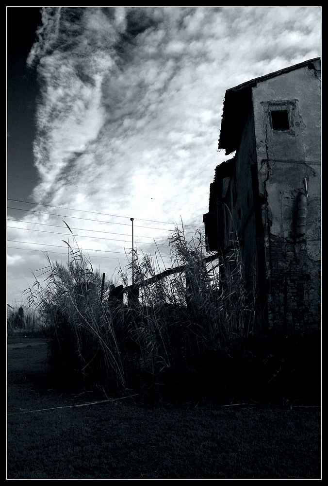 stagno3