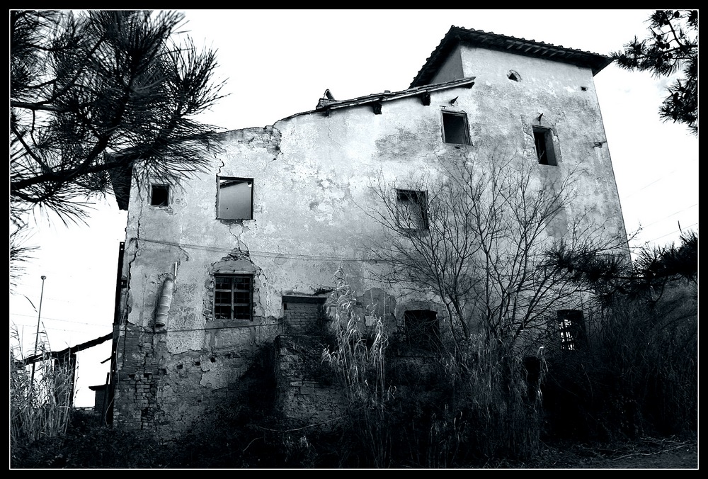 stagno4