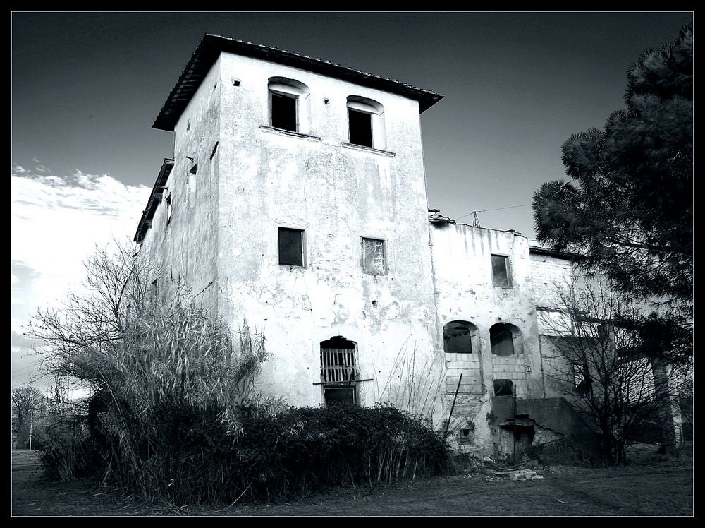 stagno6