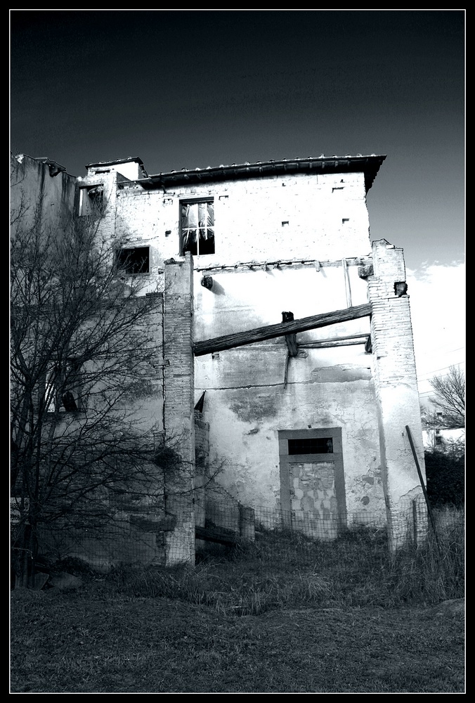 stagno10