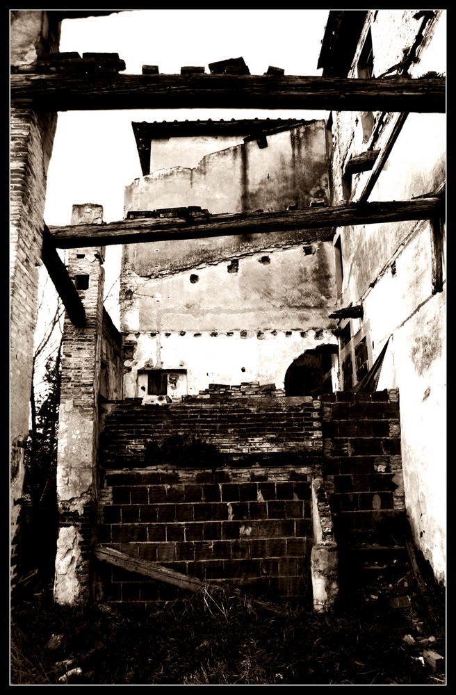 stagno11