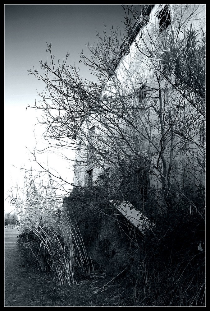 stagno13