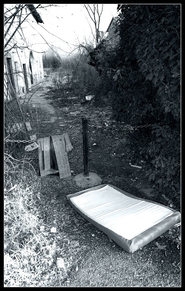 stagno14
