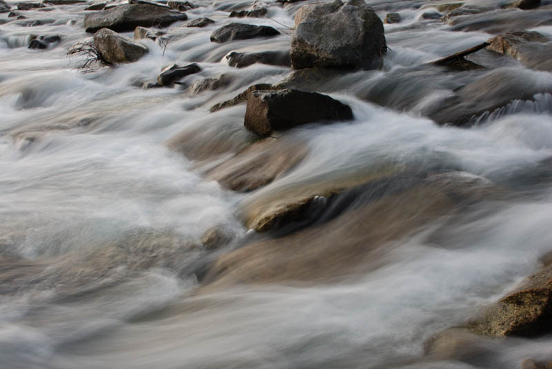acqua mossa