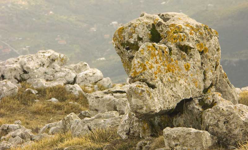 scultura moderna...naturale!