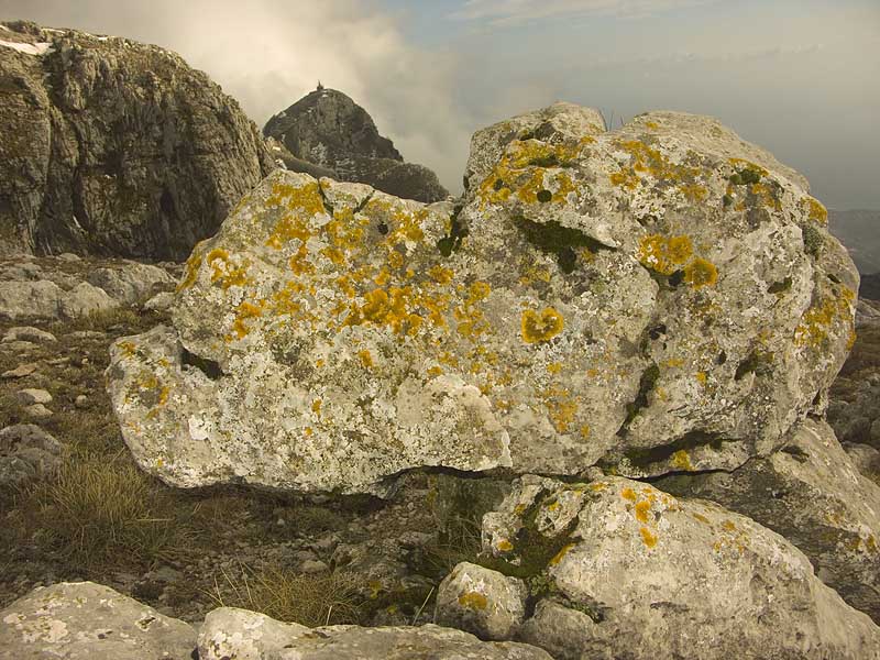 Scultura creata dalla...natura!