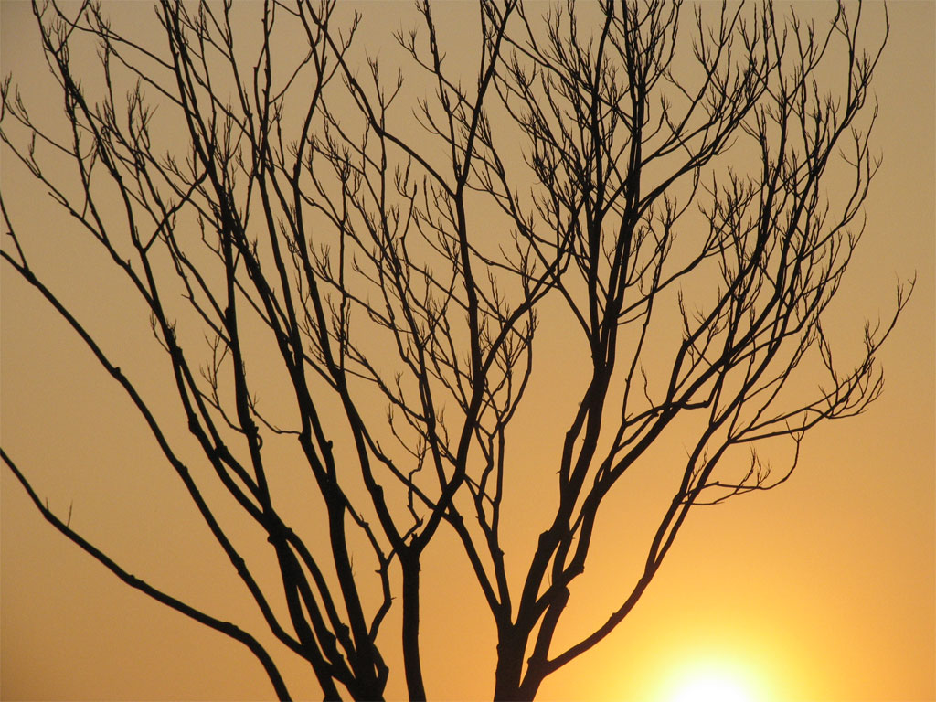 Tramonto