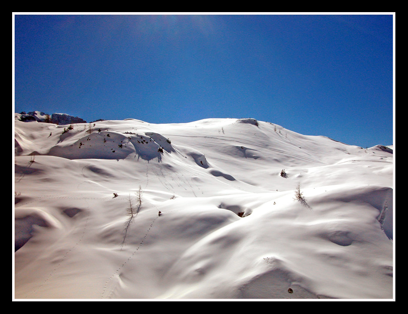 deserto o paradiso ?