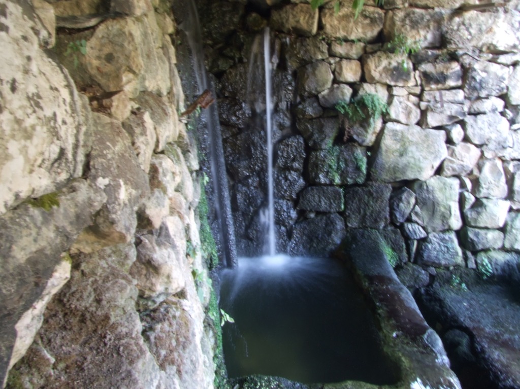 La fonte