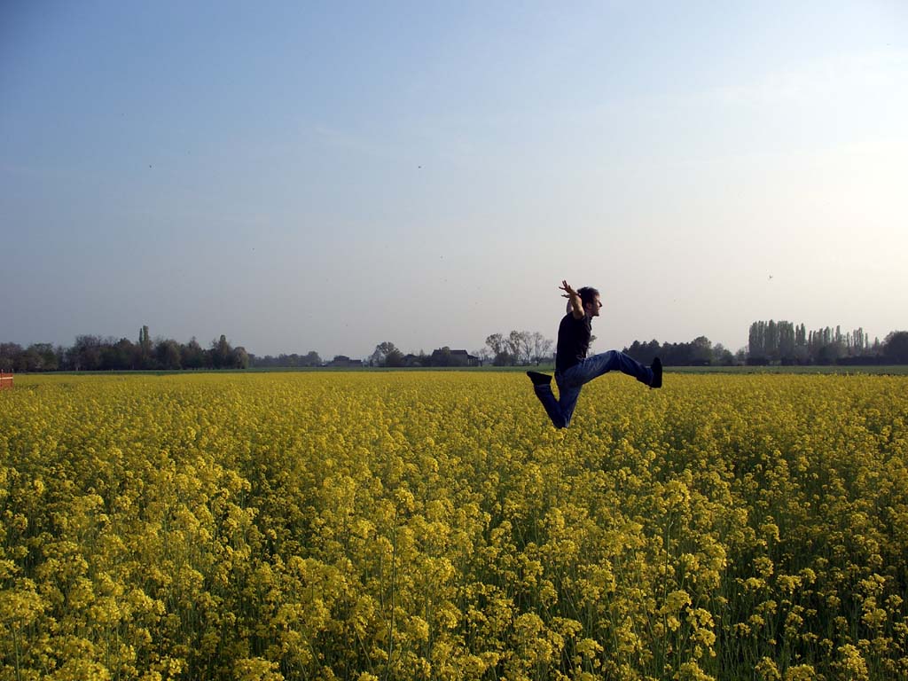 Volareee !!!