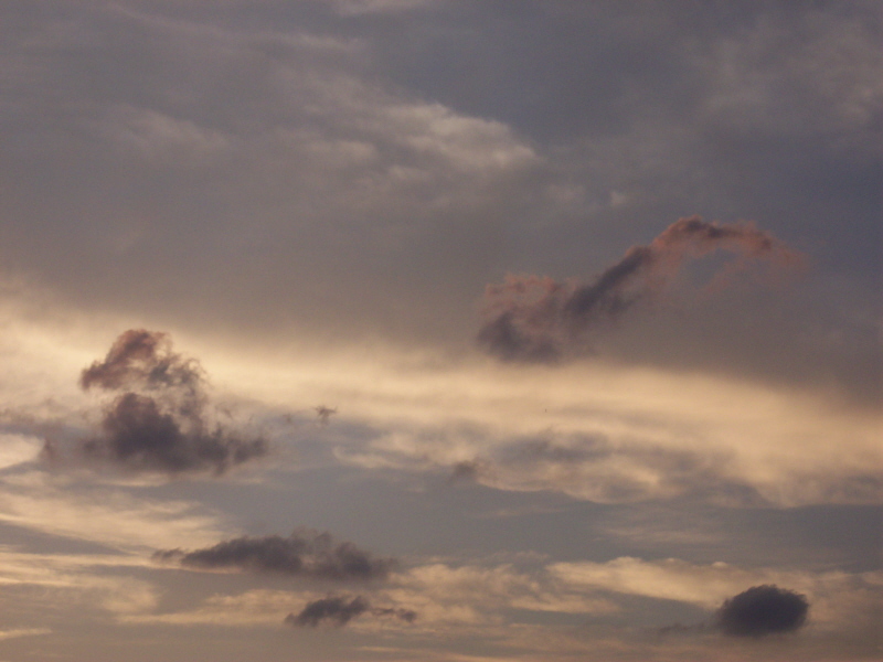 cielo