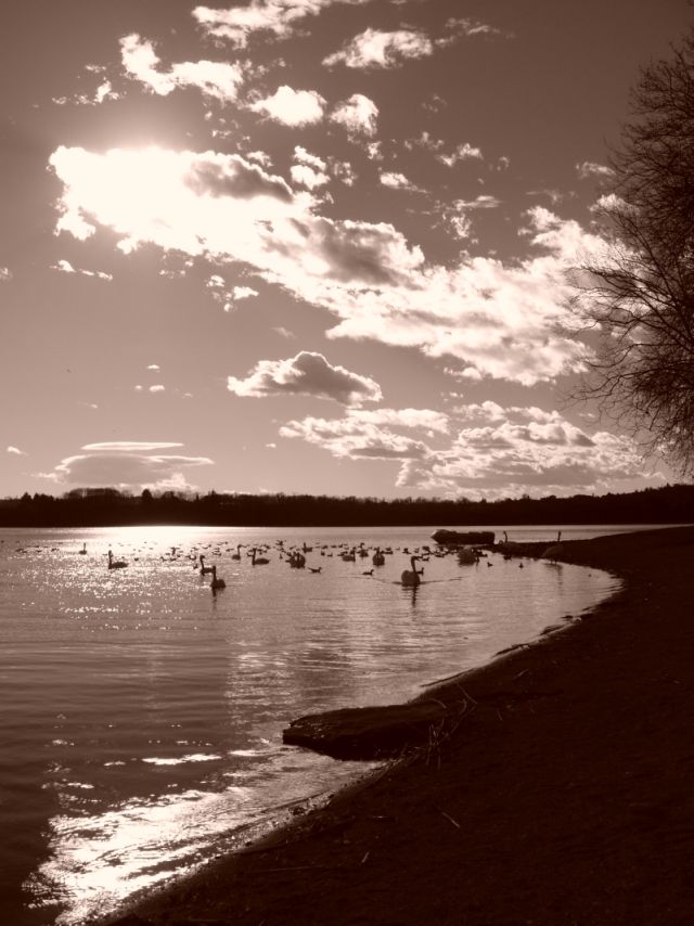 Lago