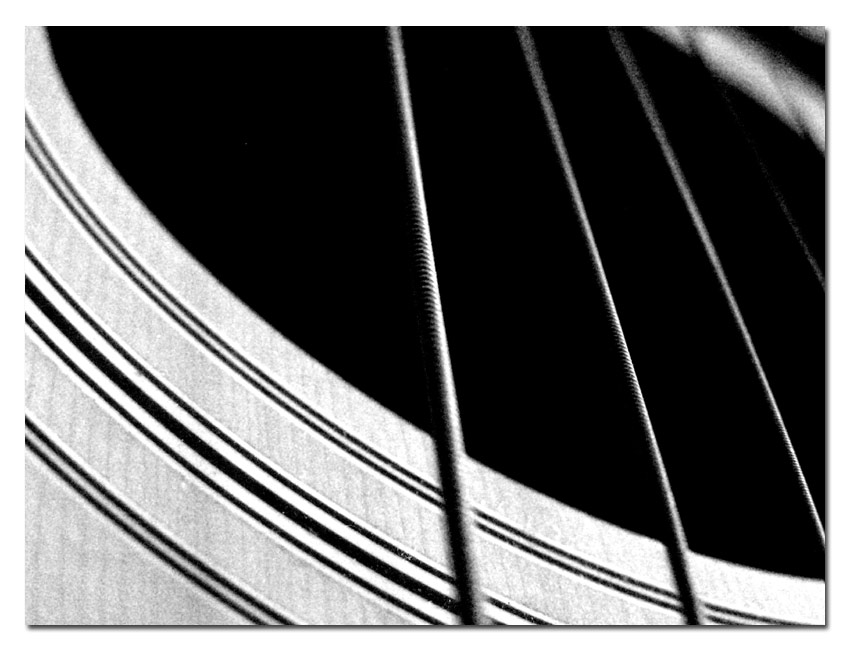 Particolare_Armonico_2
