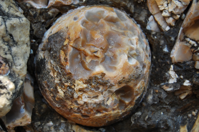 "macro" scoglio