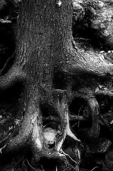 Le braccia della Natura