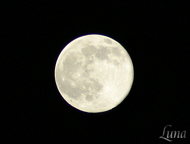 luna 2