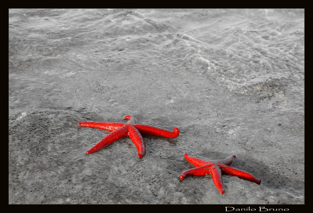colori del mare
